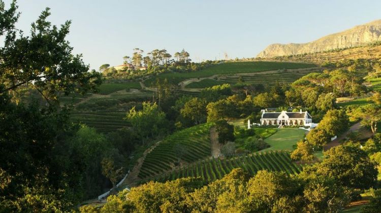 best-of-historic-constantia-wine-valley-tour