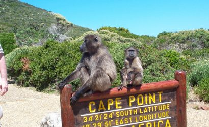 Cape Point and Cape of Good Hope Full Day Tour