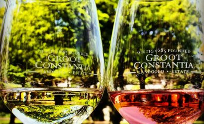 Constantia Valley Wine Tour
