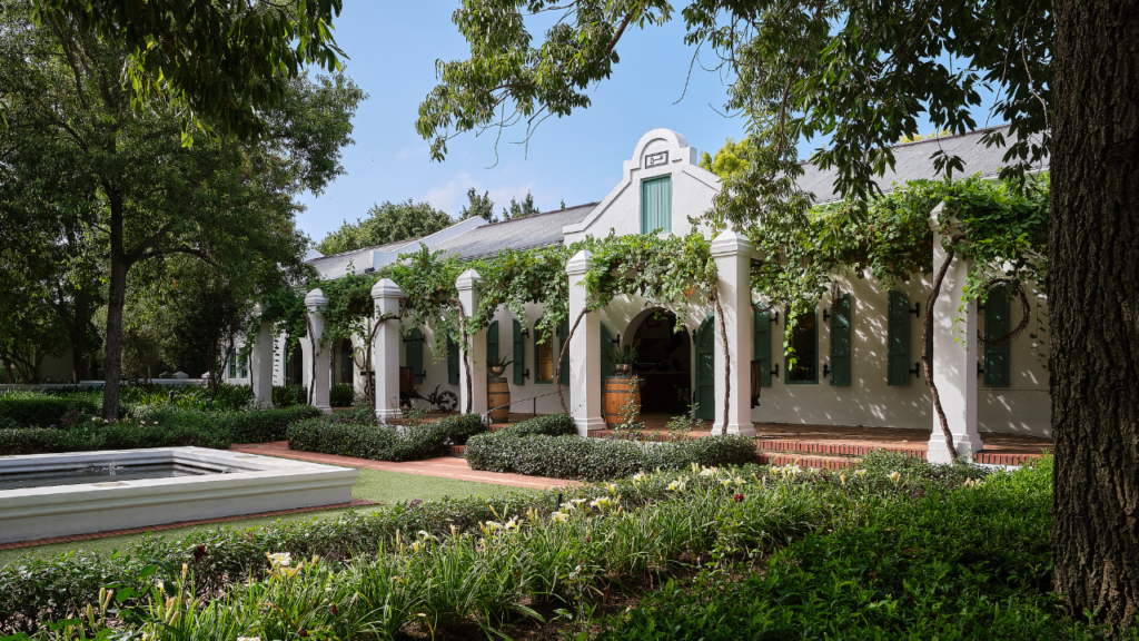 Stellenbosch: Half-Day Wine Tour