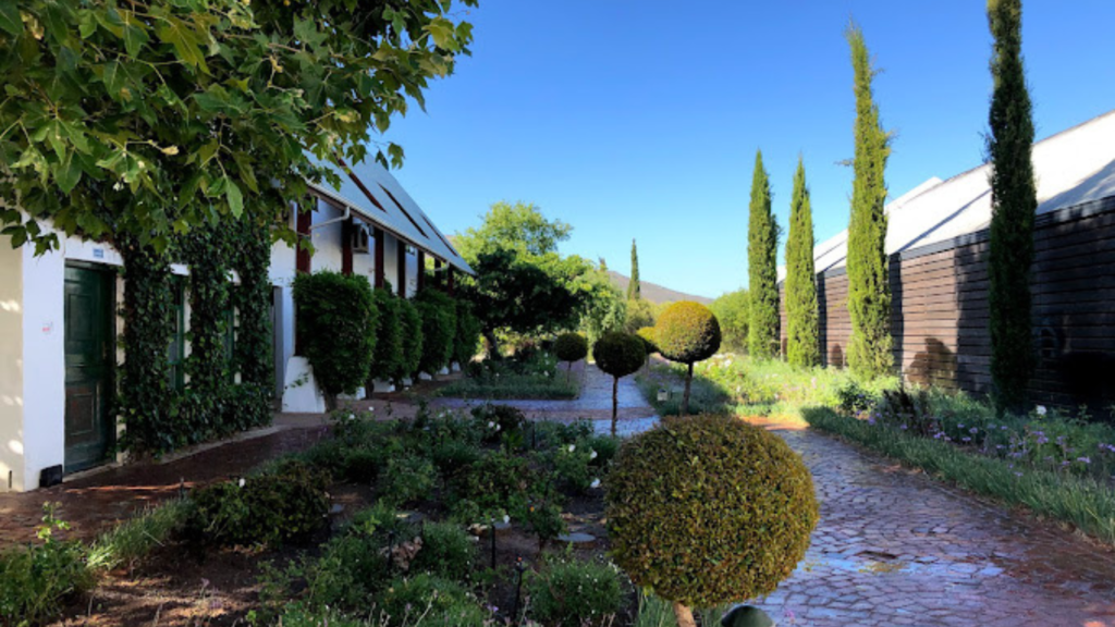 Stellenbosch: Half-Day Wine Tour