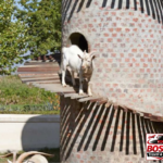 Stellenbosch: half day wine tour