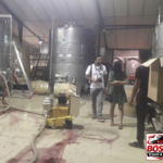 Stellenbosch: Half Day Wine Tour