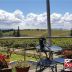 Stellenbosch: Half Day Wine Tour