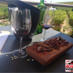 Stellenbosch: Half Day Wine Tour
