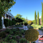 Stellenbosch: Half Day Wine Tour