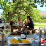 Stellenbosch, Franschhoek and Paarl: Full Day Wine Tour