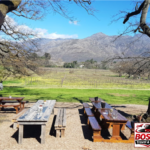 Stellenbosch, Franschhoek and Paarl: Full Day Wine Tour