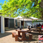 Stellenbosch, Franschhoek and Paarl: Full Day Wine Tour