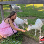 Stellenbosch, Franschhoek and Paarl: Full Day Wine Tour