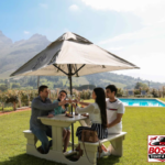 Stellenbosch, Franschhoek and Paarl: Full Day Wine Tour