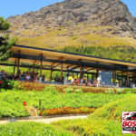Stellenbosch, Franschhoek and Paarl: Full Day Wine Tour