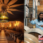 Stellenbosch, Franschhoek and Paarl: Full Day Wine Tour