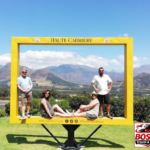 Stellenbosch, Franschhoek and Paarl: Full Day Wine Tour