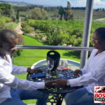 Stellenbosch: Half Day Wine Tour